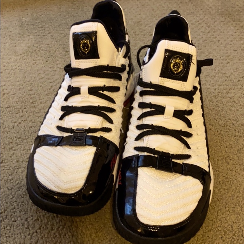 Lebron 16s